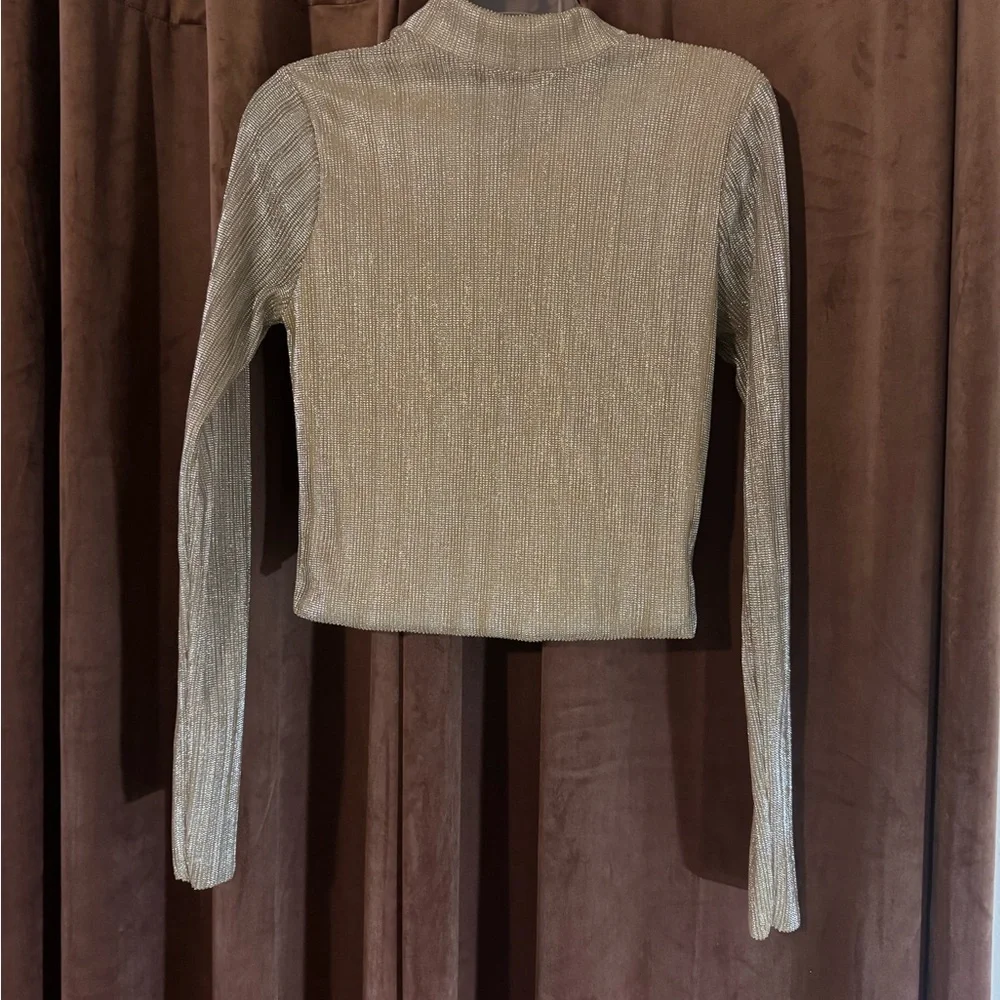 Metallic Ribbed Mesh Cropped Top - Picture 5 of 5